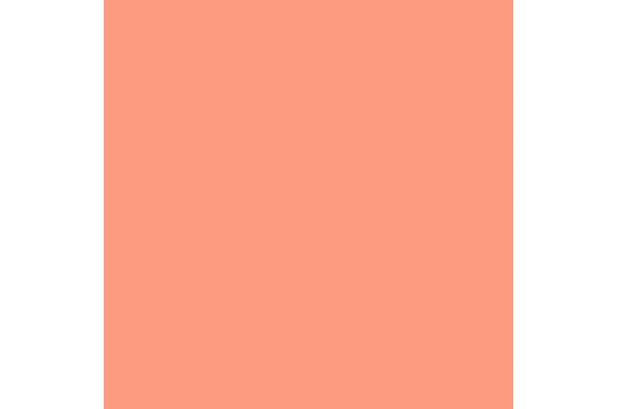 LEE - Rouleau de gélatine - couleur Dark Salmon 008 - Dim. 7,62m x 1,22m  (Neuf)