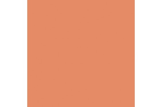 LEE - Rouleau de gélatine - couleur Surprise Peach  017 - Dim. 7,62m x 1,22m (Neuf)
