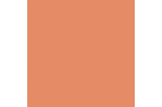 LEE - Rouleau de g&eacute;latine - couleur Surprise Peach  017 - Dim. 7,62m x 1,22m (Neuf)