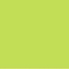 LEE - Rouleau de gélatine - couleur Lime Green 088 - Dim. 7,62m x 1,22m (Neuf)