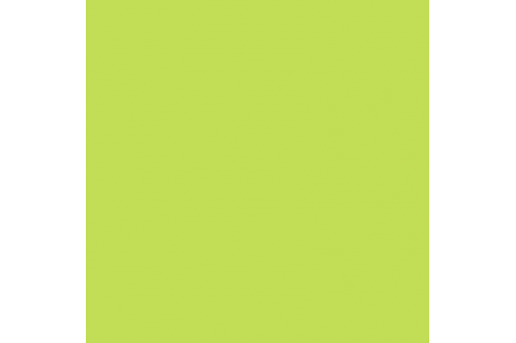 LEE - Rouleau de g&eacute;latine - couleur Lime Green 088 - Dim. 7,62m x 1,22m (Neuf)