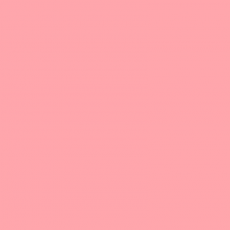 LEE - Rouleau de gélatine - couleur Light Rose 107 - Dim. 7,62m x 1,22m (Neuf)
