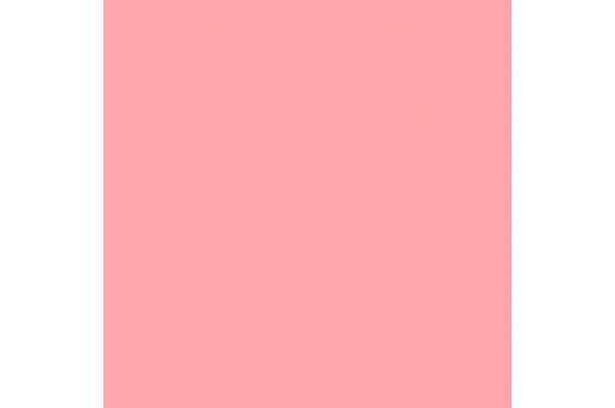 LEE - Rouleau de g&eacute;latine - couleur Light Rose 107 - Dim. 7,62m x 1,22m (Neuf)