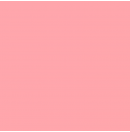 LEE - Rouleau de gélatine - couleur Light Rose 107 - Dim. 7,62m x 1,22m (Neuf)
