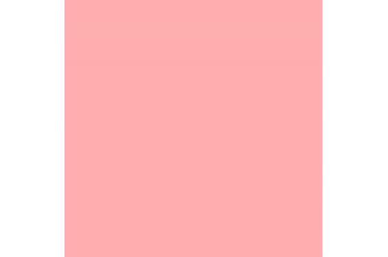 LEE - Rouleau de gélatine - couleur Light Salman 109 - Dim. 7,62m x 1,22m (Neuf)
