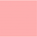 LEE - Rouleau de gélatine - couleur Light Salman 109 - Dim. 7,62m x 1,22m (Neuf)