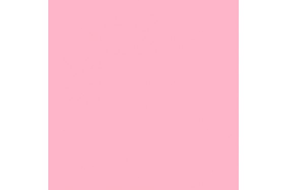 LEE - Rouleau de g&eacute;latine - couleur Middle Rose 110 - Dim. 7,62m x 1,22m (Neuf)