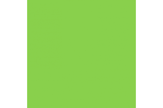 LEE - Rouleau de g&eacute;latine - couleur Lee Green 121 - Dim. 7,62m x 1,22m (Neuf)