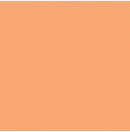 LEE - Rouleau de gélatine - couleur Golden Amber 134 - Dim. 7,62m x 1,22m (Neuf)