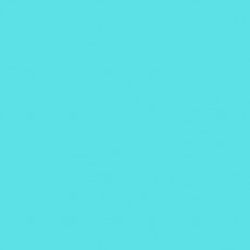 LEE - Rouleau de gélatine - couleur No Colour Blue 144 - Dim. 7,62m x 1,22m (Neuf)