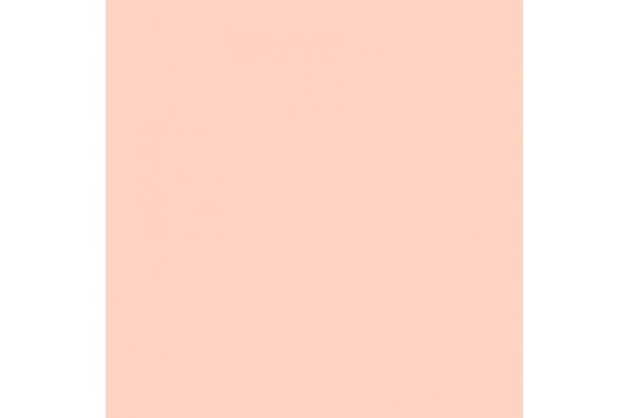 LEE - Rouleau de g&eacute;latine - couleur Pale Gold 152 - Dim. 7,62m x 1,22m (Neuf)