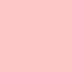 LEE - Rouleau de gélatine - couleur Pale Salmon 153 - Dim. 7,62m x 1,22m (Neuf)
