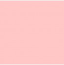 LEE - Rouleau de gélatine - couleur Pale Salmon 153 - Dim. 7,62m x 1,22m (Neuf)