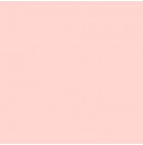 LEE - Rouleau de gélatine - couleur Pale Rose 154 - Dim. 7,62m x 1,22m (Neuf)