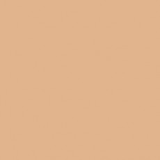 LEE - Rouleau de gélatine - couleur Chocolate 156 - Dim. 7,62m x 1,22m (Neuf)