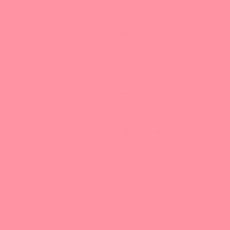 LEE - Rouleau de gélatine - couleur Pink 157 - Dim. 7,62m x 1,22m (Neuf)