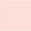 LEE - Rouleau de gélatine - couleur Bastard Amber 162 - Dim. 7,62m x 1,22m (Neuf)