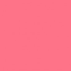 LEE - Rouleau de gélatine - couleur Pale Red 166 - Dim. 7,62m x 1,22m (Neuf)