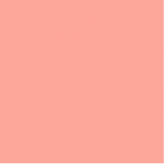 LEE - Rouleau de gélatine - couleur Loving Amber 176 - Dim. 7,62m x 1,22m (Neuf)