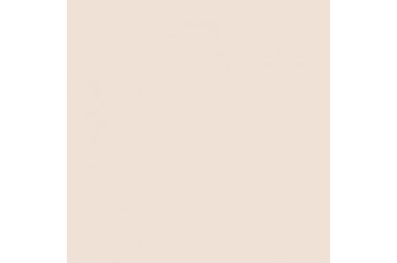 LEE - Rouleau de gélatine - couleur Cosmetic Peach 184 - Dim. 7,62m x 1,22m (Neuf)
