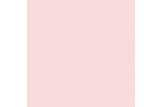 LEE - Rouleau de gélatine - couleur Cosmetic Silver Rose 186 - Dim. 7,62m x 1,22m (Neuf)