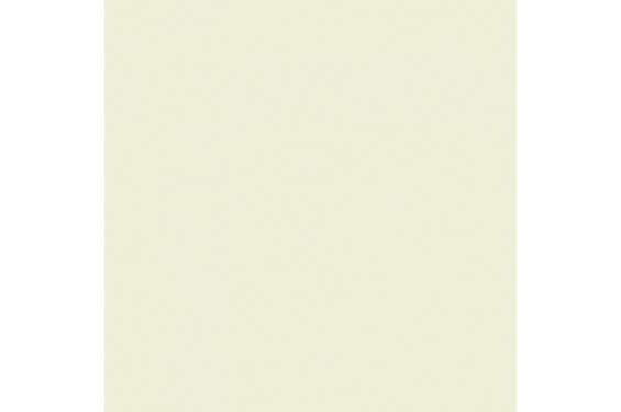 LEE - Rouleau de g&eacute;latine - couleur Cosmetic Silver Moss 189 - Dim. 7,62m x 1,22m  (Neuf)