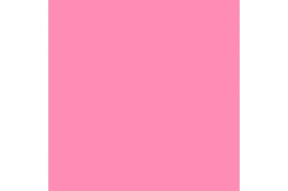 LEE - Rouleau de g&eacute;latine - couleur Flesh Pink 192 - Dim. 7,62m x 1,22m (Neuf)
