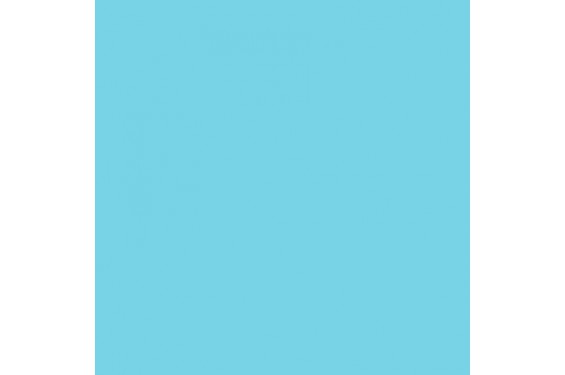 LEE - Rouleau de g&eacute;latine - couleur True Blue 196 - Dim. 7,62m x 1,22m (Neuf)