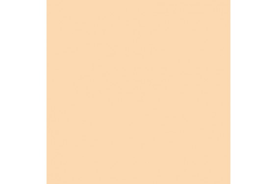 LEE - Rouleau de g&eacute;latine - couleur Half CT Orange 205 - Dim. 7,62m x 1,22m (Neuf)