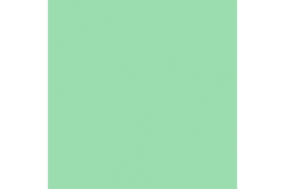 LEE - Rouleau de g&eacute;latine - couleur Fluorescent Green 219 - Dim. 7,62m x 1,22m (Neuf)