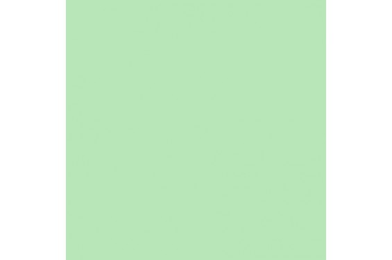 LEE - Rouleau de g&eacute;latine - couleur Fluorescent 4300K 242 - Dim. 7,62m x 1,22m (Neuf)