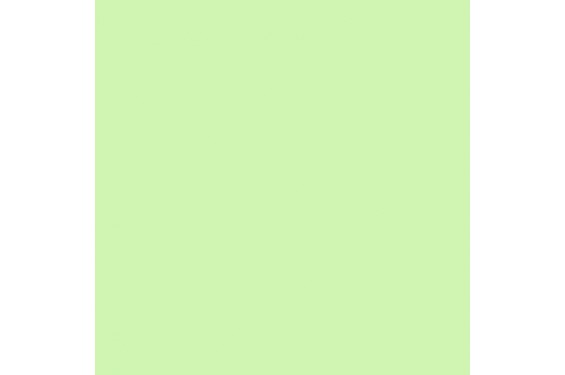 LEE - Rouleau de g&eacute;latine - couleur Fluorescent 3600K 243 - Dim. 7,62m x 1,22m (Neuf)