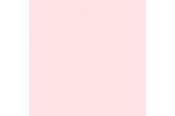 LEE - Rouleau de g&eacute;latine - couleur Half Minus Green 248 - Dim. 7,62m x 1,22m (Neuf)