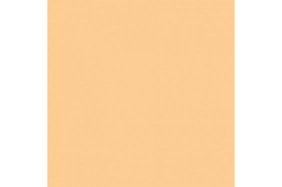 LEE - Rouleau de g&eacute;latine - couleur 3/4 CT Orange 285 - Dim. 7,62m x 1,22m (Neuf)