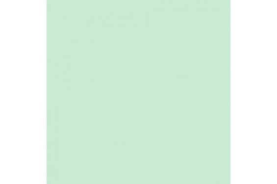 LEE - Rouleau de g&eacute;latine - couleur Steel Green 728 - Dim. 7,62m x 1,22m (Neuf)