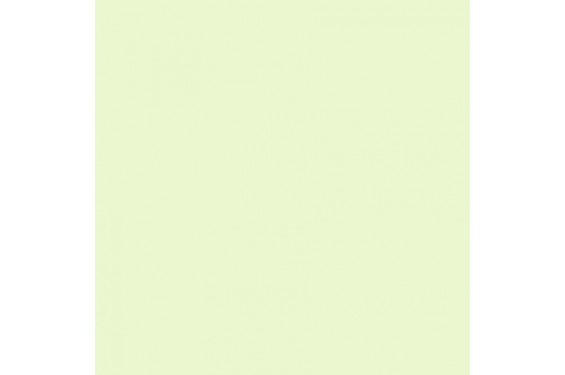 LEE - Rouleau de g&eacute;latine - couleur Damp Squib 733 - Dim. 7,62m x 1,22m  (Neuf)