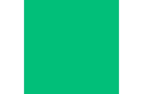 LEE - Rouleau de g&eacute;latine - couleur Velvet Green 735 - Dim. 7,62m x 1,22m (Neuf)