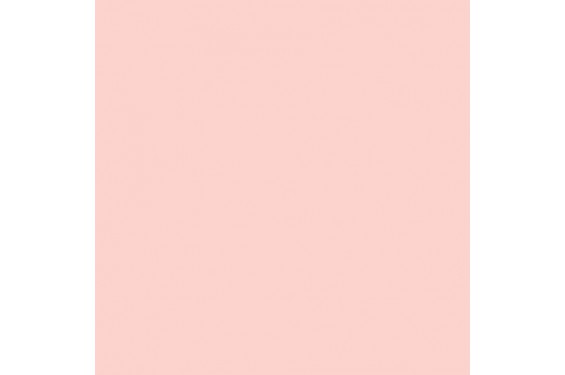 LEE - Rouleau de g&eacute;latine - couleur Hampshire Rose 749 - Dim. 7,62m x 1,22m (Neuf)