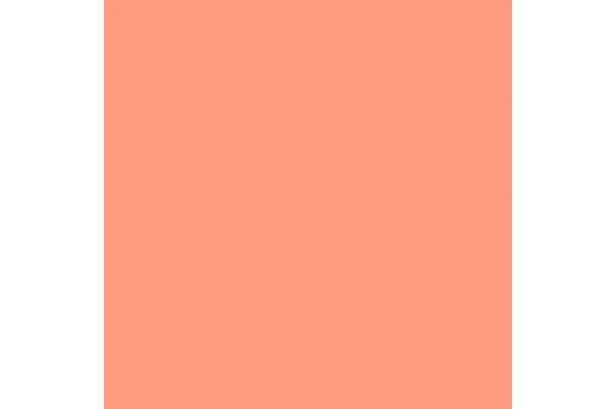 LEE - Rouleau de g&eacute;latine - couleur Dark Salmon HT008 - Dim. 4m x 1,17m (Neuf)