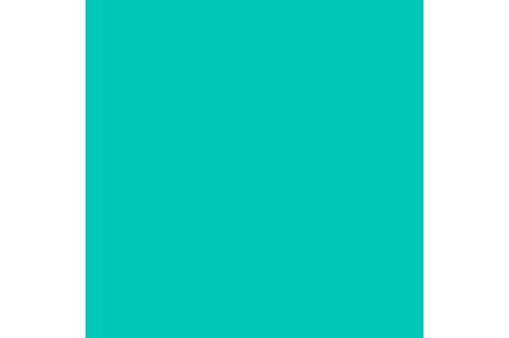 LEE - Rouleau de g&eacute;latine - couleur Medium Blue Green HT116 - Dim. 4m x 1,17m(Neuf)