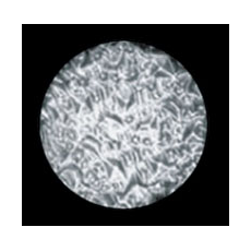 MARTIN - Gobo Limbo Cristal D37.5 verre texturé & collé dans le support pour lyre MARTIN (Neuf)