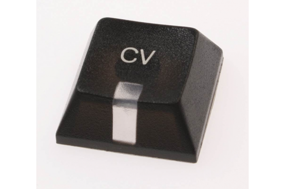 MARTIN - Computer Key "CV" (New)