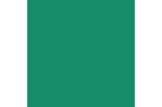 LEE - Rouleau de g&eacute;latine - couleur Dark Green 124 - Dim. 7,62m x 1,22m (Neuf)