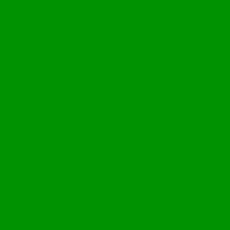 LEE - Rouleau de gélatine - couleur Primary Green 139 - Dim. 7,62m x 1,22m (Neuf)