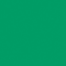 LEE - Gel roll - color Moss Green 089 (New)