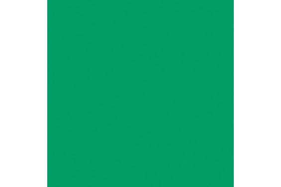 LEE - Rouleau de gélatine - couleur Moss Green 089 - Dim. 7,62m x 1,22m (Neuf)
