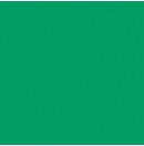 LEE - Rouleau de gélatine - couleur Moss Green 089 - Dim. 7,62m x 1,22m (Neuf)