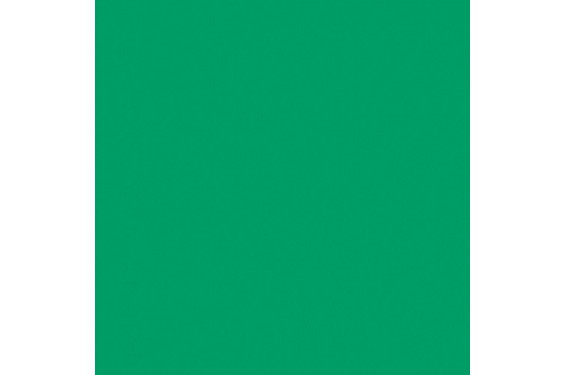 LEE - Rouleau de g&eacute;latine - couleur Moss green HT089 - Dim. 4m x 1,17m (Neuf)