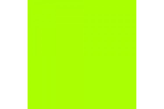 LEE - Rouleau de g&eacute;latine - couleur Jas Green 738  - Dim. 7,62m x 1,22m (Neuf)