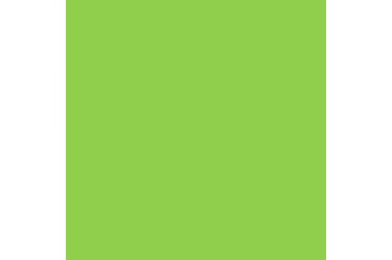 LEE - Rouleau de g&eacute;latine - couleur Green HT121 - Dim. 4m x 1,17m (Neuf)